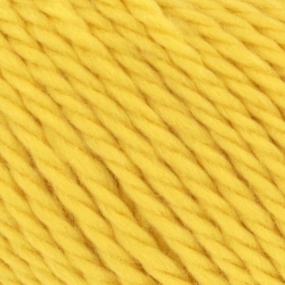 1061 0014 LANGYARNS Glory C Print