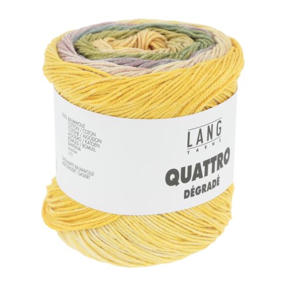 1088 0007 LANGYARNS QuattroDegrade 3 Print