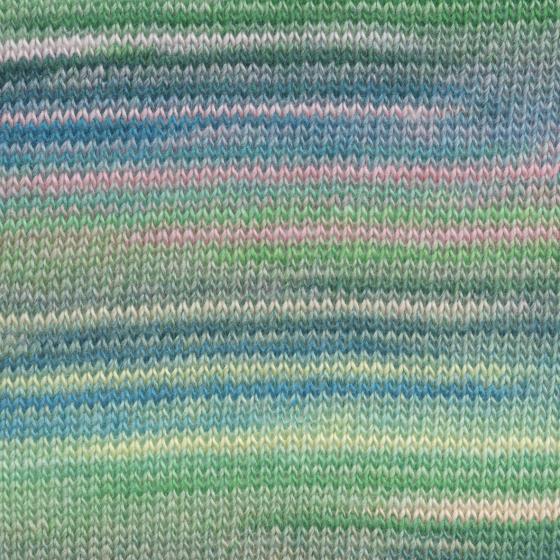 845 0209 LANGYARNS MilleColoriBaby C Print