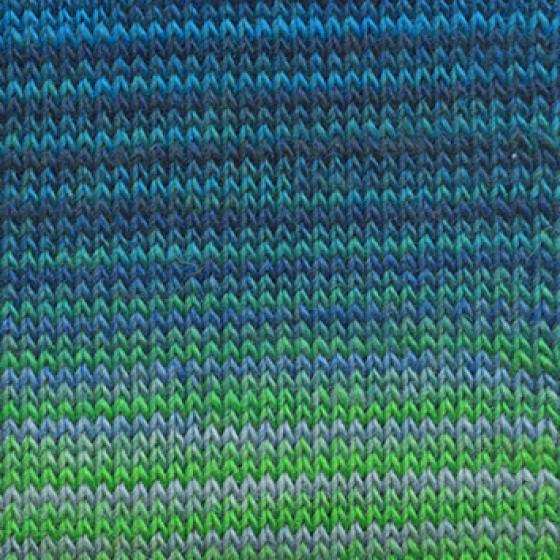 859 0017 LANGYARNS MilleColoriSocksLaceLuxe C Print
