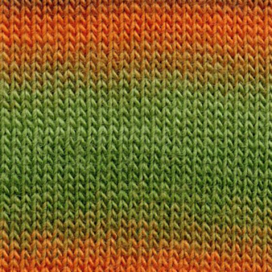 85 0027 LANGYARNS JawollMagicDegrade C Print