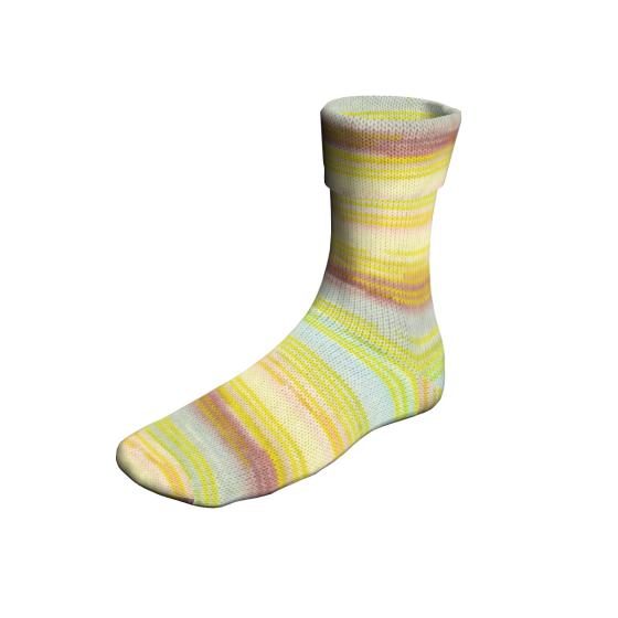 901 0360 LANGYARNS SuperSoxxColor4Ply C Print