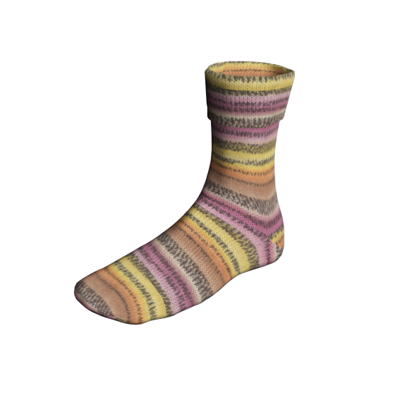901 0478 LANGYARNS SuperSoxxColor4Ply C Print